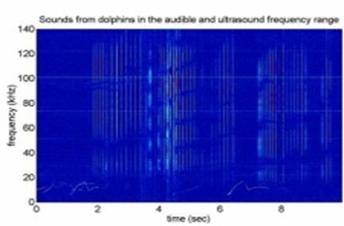 WAVE PROPAGATION.jpg